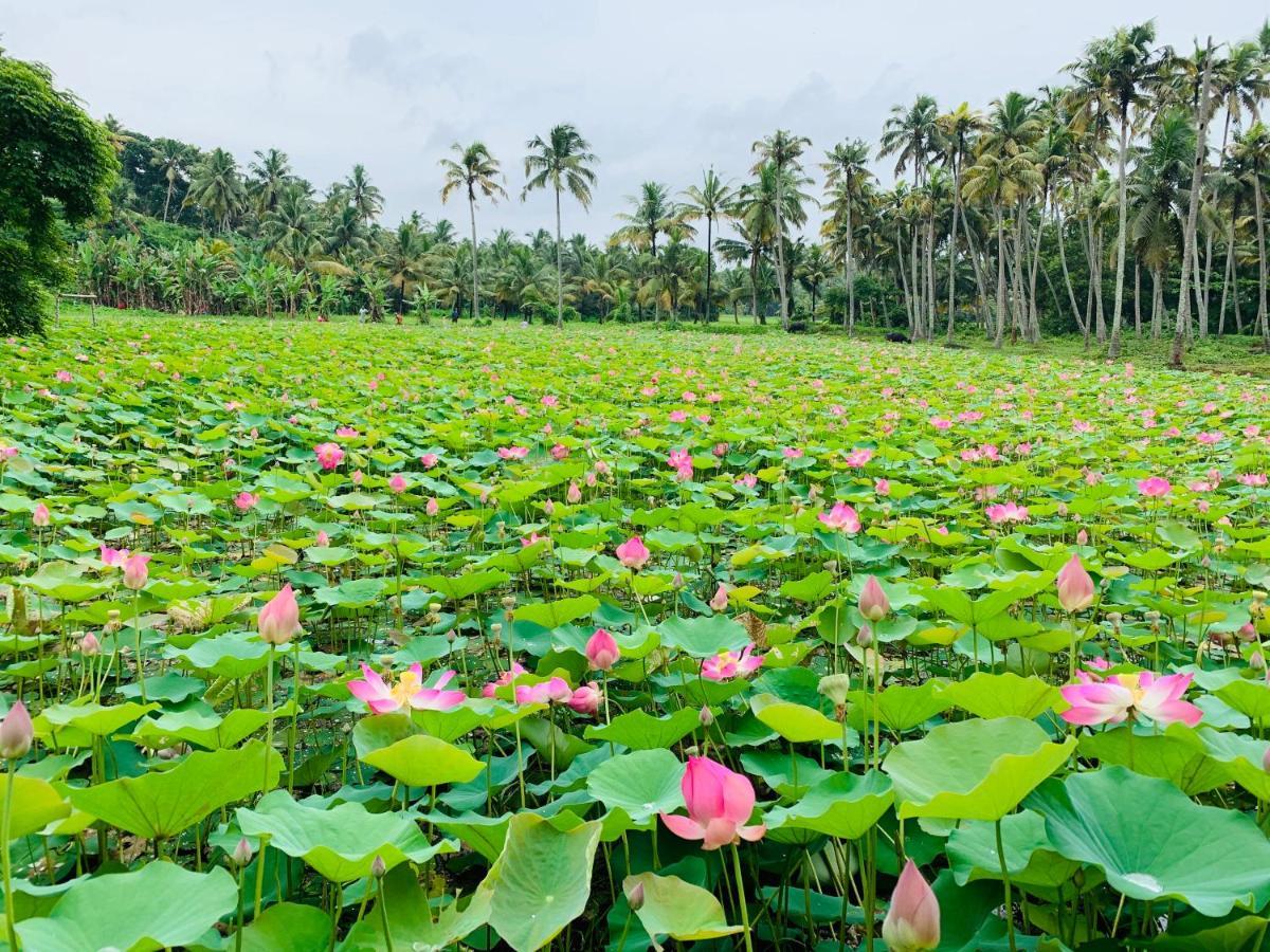 Maadathil Cottages Varkala Kültér fotó