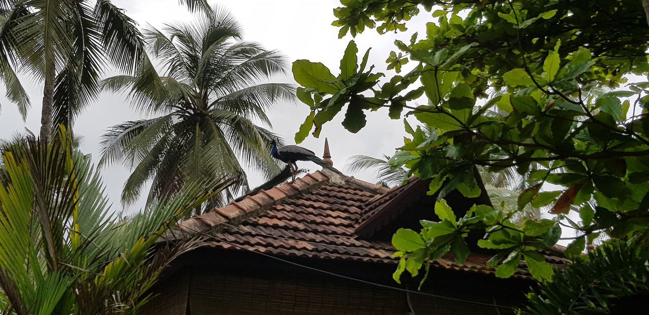 Maadathil Cottages Varkala Kültér fotó